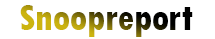 Сервис Snoopreport